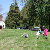 Image description