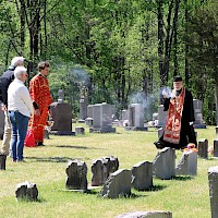 Image description