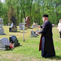 Image description