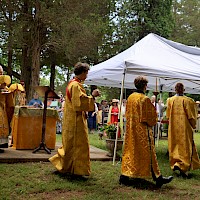 Image description
